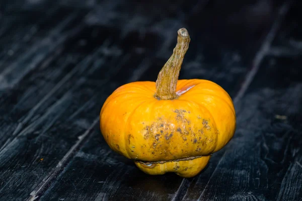 Koyu ahşap arka plan üzerinde Halloween balkabağı jack. Bir h kavramı