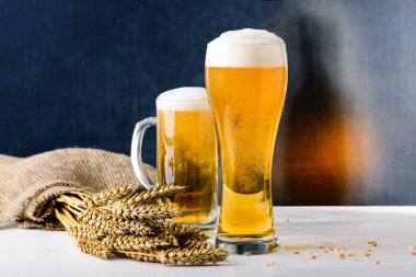 Bir bardak taze bira. Gıda octoberfest kavramı