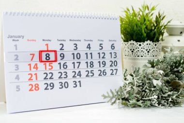 8 Ocak. Beyaz takviminde ayın günü 8