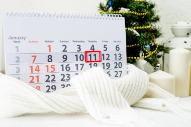 11 Ocak. Beyaz takviminde ayın gün 11. Uluslararası d