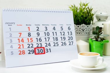 30 Ocak. Ayın 30. günü