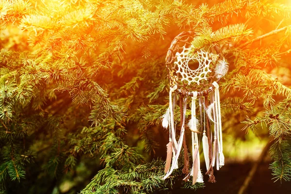 Dreamcatcher, Amerikan yerli muska günbatımı üzerinde. Şaman