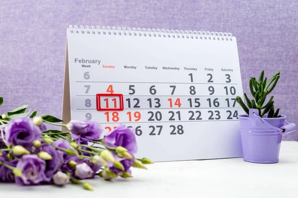 Gün kış sporları. Mor takvimde tarih 11 Şubat işareti