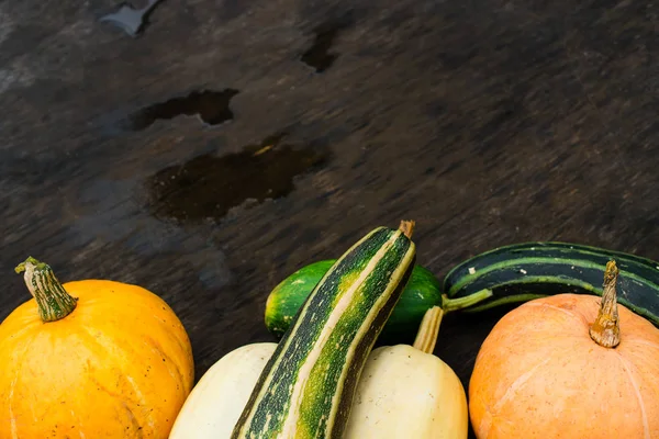 Höstens skörd. Gurkor färska, pumpor och zucchini på mörka b — Stockfoto