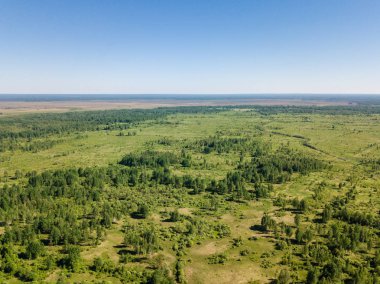 Yeşil alanın güzel havadan görünümü. Açık havada