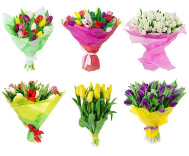 beyaz izole lale buketi ayarla