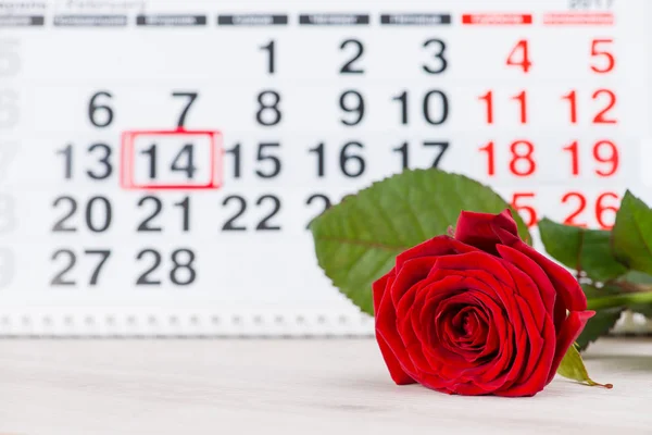 Concepto Día de San Valentín, rosa roja sobre fondo en el calendario —  Fotos de Stock