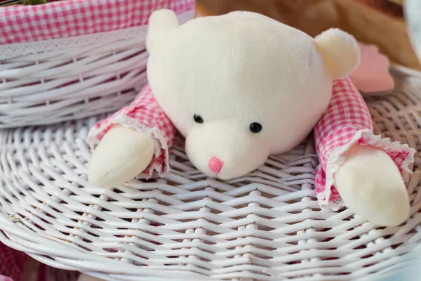 head of cute teddy bear on a white wicker basket