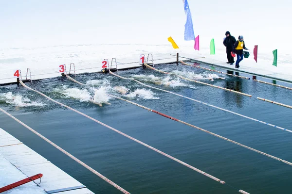 Соревнования по плаванию в ледяной воде — стоковое фото