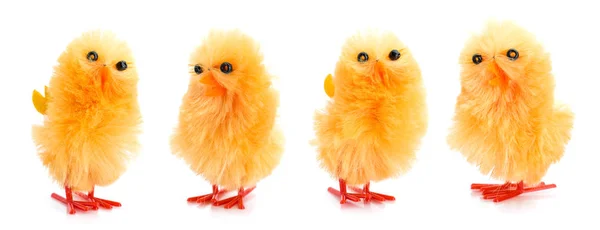 Set of yellow chicken isolated — Stock Photo, Image