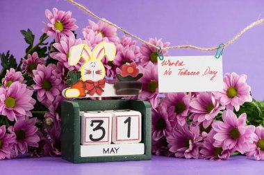 31 Mayıs Dünya Hayır Tütün günü Takvim