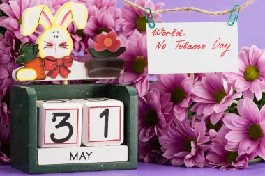 31 Mayıs Dünya Hayır Tütün günü Takvim