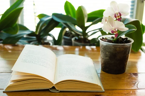 Open book on the table symbol of knowledge — Stock Photo, Image