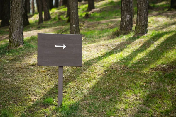 Prázdné dřevěné plakety — Stock fotografie