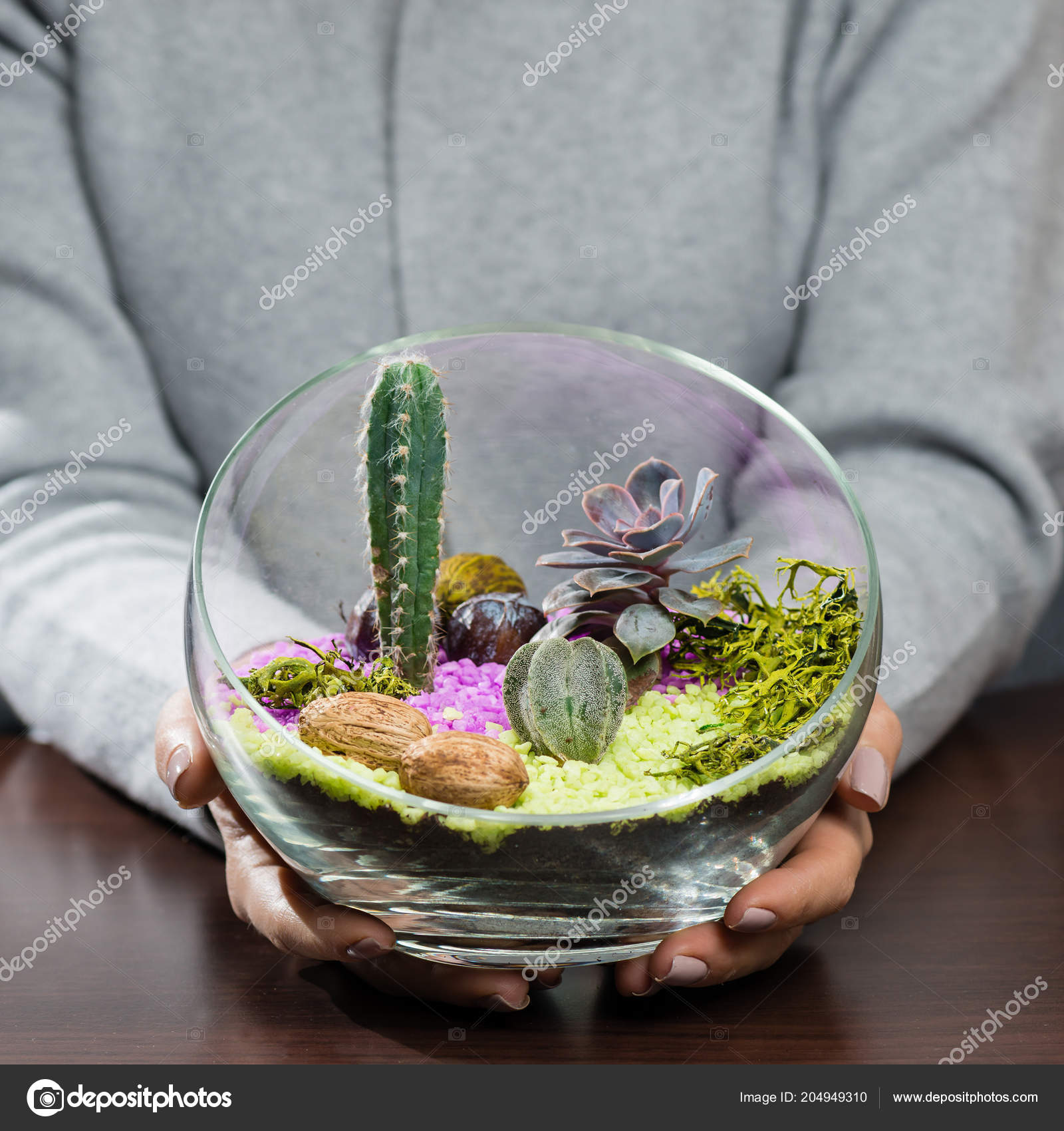 Woman Holding A Beautiful Florarium In Glass Vase With Succulent