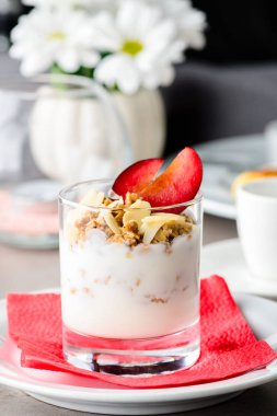 Erik ve bir gla fındık ile geleneksel İtalyan tatlı tiramisu