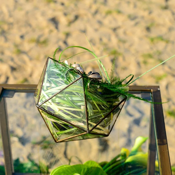 Красивый стеклянный флорарий стекло с сочными растениями на вкладке — стоковое фото