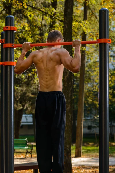 户外健身训练积极的生活方式 在夏季公园的水平酒吧锻炼运动的人的背部视图 — 图库照片