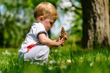 bir çam kozalağı çimenlerin üzerinde doğada onun elinde bebekle. Çocukların eğitimi kavramı