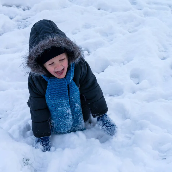 在冬天的孩子男孩在雪中爬行小男孩在雪中的乐趣 — 图库照片