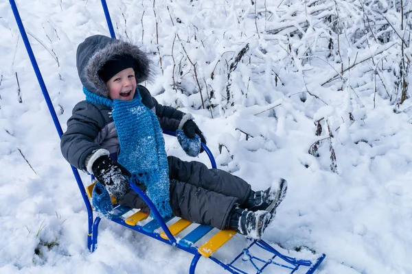 Cheerful Child Boy Winter Sled White Snow Sledding Winter Time — Stock Photo, Image