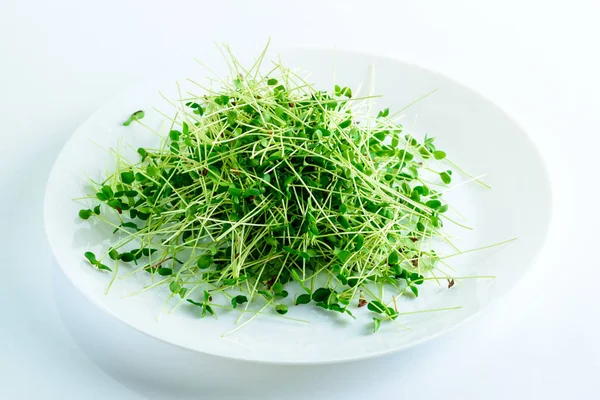 Microgreen Flax Seedlings White Plate Light Background Mockup Healthy Eating — Stock Photo, Image
