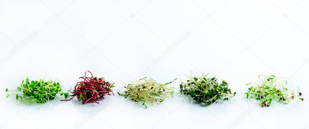 microgreen dill sprouts, radishes, mustard, arugula, mustard in the range on a light background, copy space