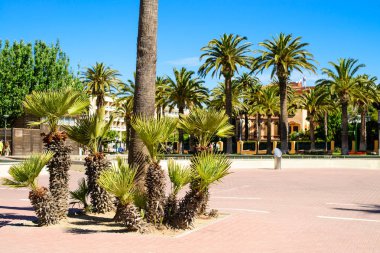 Tatil köyü şehrinde palmiye ağacı, salou İspanya, kopya alanı ile seyahat arkaplanı