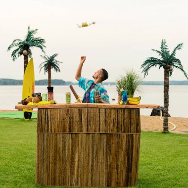 Barmen haydutlar, şişeler ve içkiler, sahilde barmenlik.