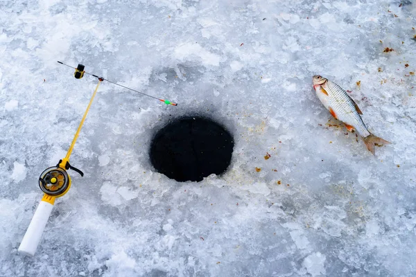 Winter fishing. Fishing rod for ice fishing