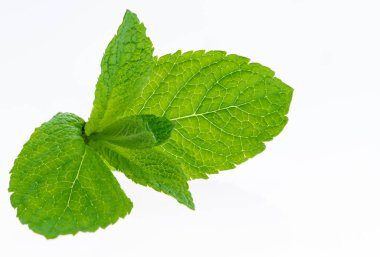 Taze ham nane beyaz arka plan Enlem üzerinde izole yaprakları. hüseyin özkan
