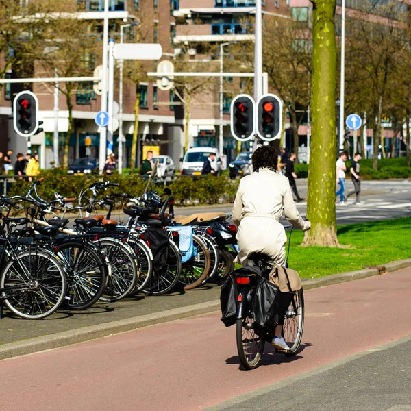 Kobieta jeździ rowerem na ścieżce rowerowej, w Amsterdamie — Zdjęcie stockowe