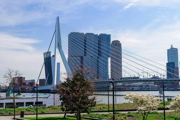 Vue de Rotterdam - Pays-Bas — Photo