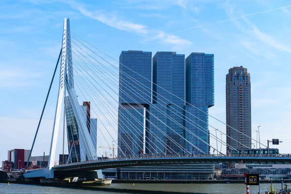 Utsikt over Rotterdam - Nederland – stockfoto