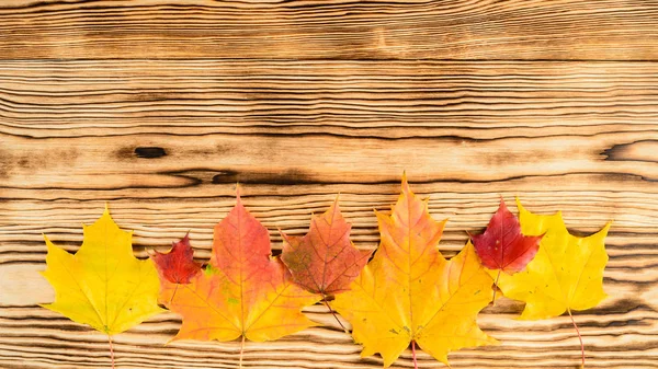 Jesienne liście na drewnianym tle z przestrzenią do kopiowania — Zdjęcie stockowe