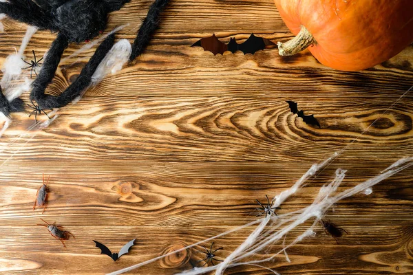 Trä bakgrund för Halloween med spindel och spindelnät, pumpa och plats för text — Stockfoto