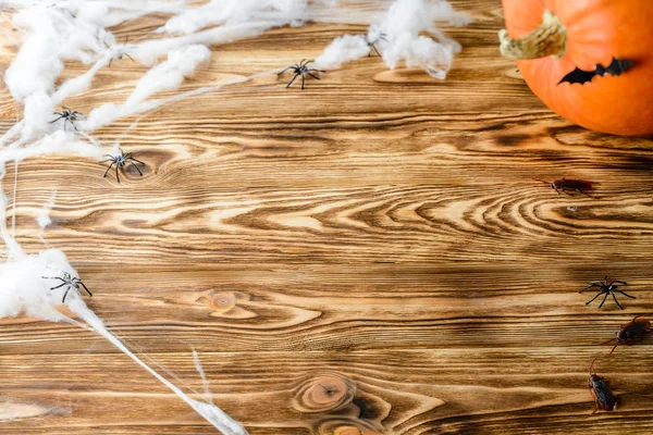 Trä bakgrund med pumpa, spindelväv för Halloween — Stockfoto