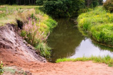 Ormandaki küçük nehir manzarası