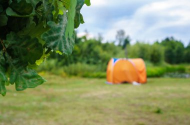 ardıç ve meşe banyosu süpürgesi