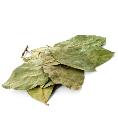 beyaz arkaplanda kuru defne yaprağı izole