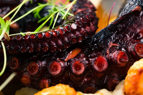 Gegrilde Octopus Voorgerecht Food Concept Zeevruchten Maaltijd Octopus Tentakel Gebakken — Stockfoto
