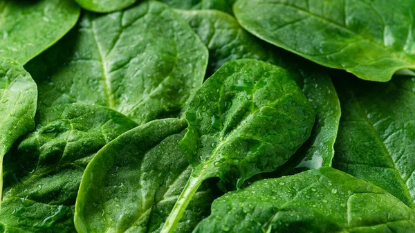 Textura Espinaca Verde Fresca Fondo Con Hojas Dieta Vegetal Concepto — Foto de Stock