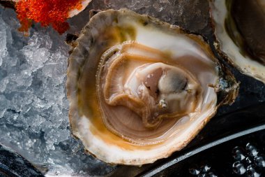 Buzlu deniz ürünleri tabağı. Küçük deniz ürünleri tabağındaki istiridyeleri kapatın. Deniz ürünleri tabağı istiridye ve deniz ürünleri.