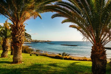 Atlantik Okyanusu Kanarya Adaları Güzel manzara