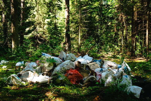 Pile of garbage on green grass in the nature environment problems, pile of garbage in the forest