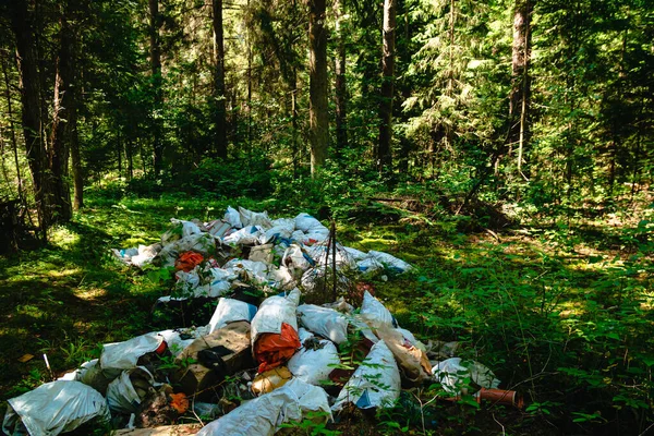 pile of garbage in the forest