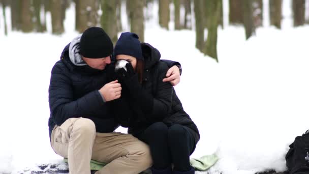 Europees Koppel Dat Tijd Heeft Het Winterbos — Stockvideo