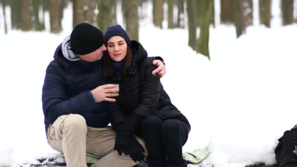 Europees Koppel Dat Tijd Heeft Het Winterbos — Stockvideo