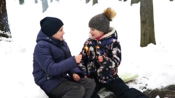 Kinderen Spelen Besneeuwde Bos Peuter Kinderen Buiten Winter Vrienden Spelen — Stockvideo