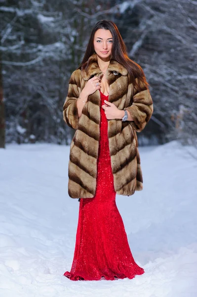 Красивая Красивая Молодая Женщина Зимнем Лесу — стоковое фото
